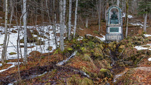 Wildbad Kreuth - Monument Max I. Joseph von Bayern